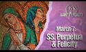 March 7: Sts. Perpetua &amp; Felicity, Martyrs